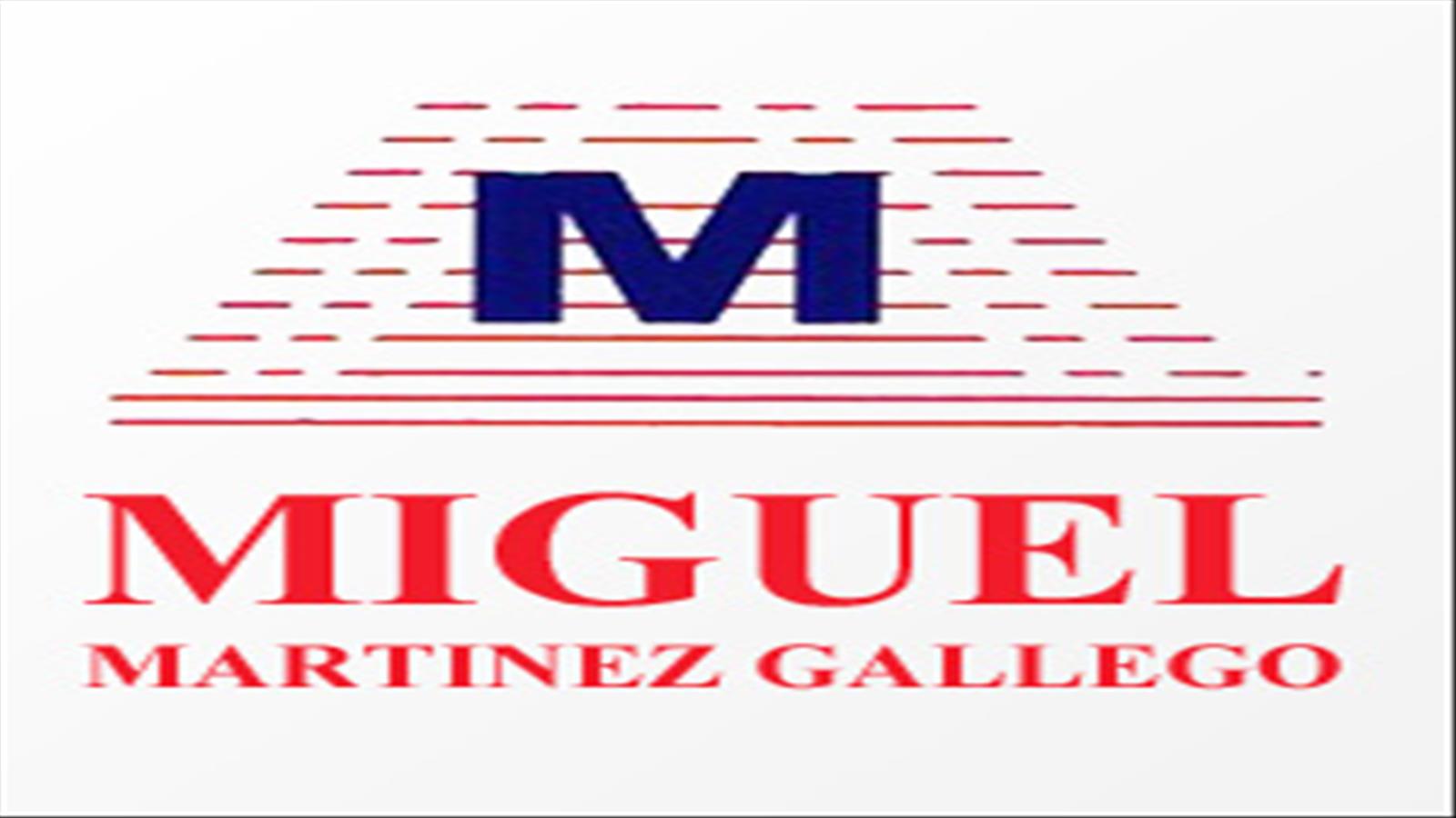 MIGUEL MARTÍNEZ GALLEGO