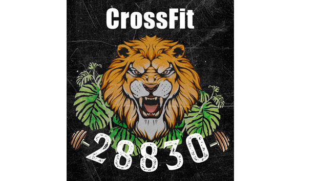 CROSSFIT 28830