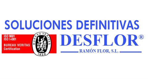 SOLUCIONES DEFINITIVAS DESFLOR