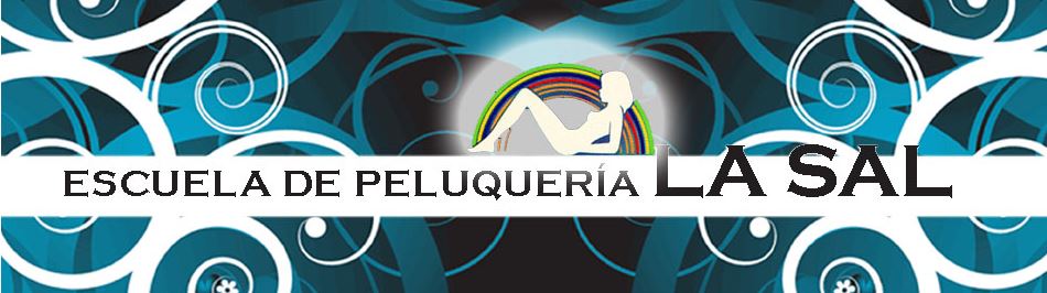 ESCUELA DE PELUQUERÍA LA SAL