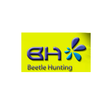 BEETLE HUNTING