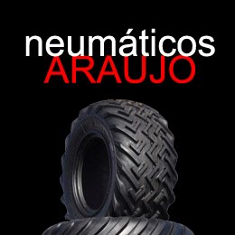 NEUMÁTICOS ARAUJO