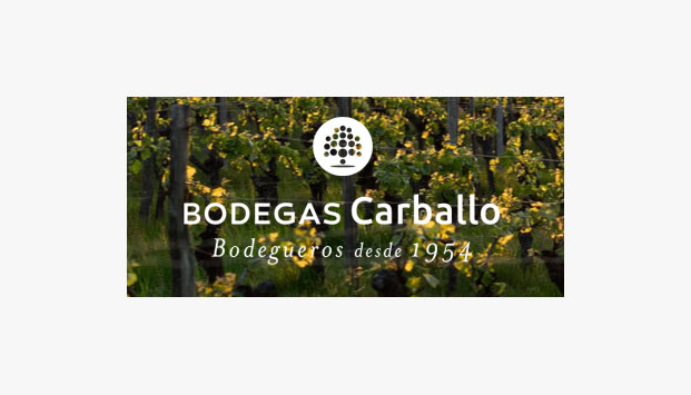 BEBIDAS Y BODEGAS CARBALLO